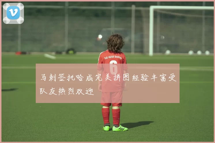马刺签托哈成完美拼图经验丰富受队友热烈欢迎